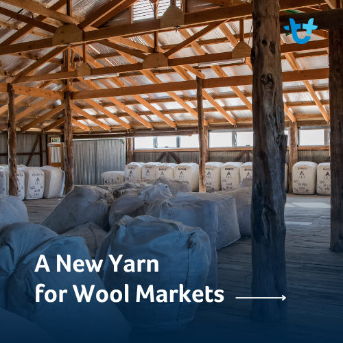 wool 1