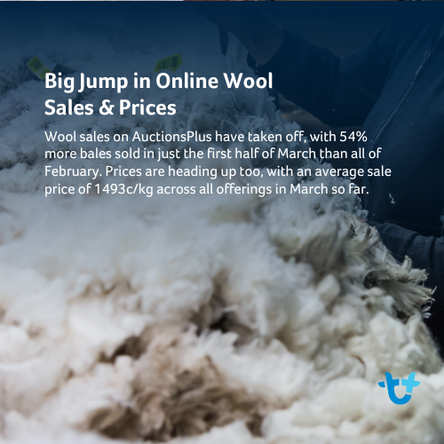 wool 2