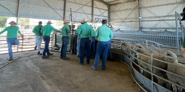 Assessor Course