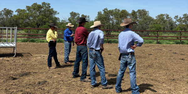 Assessor Course