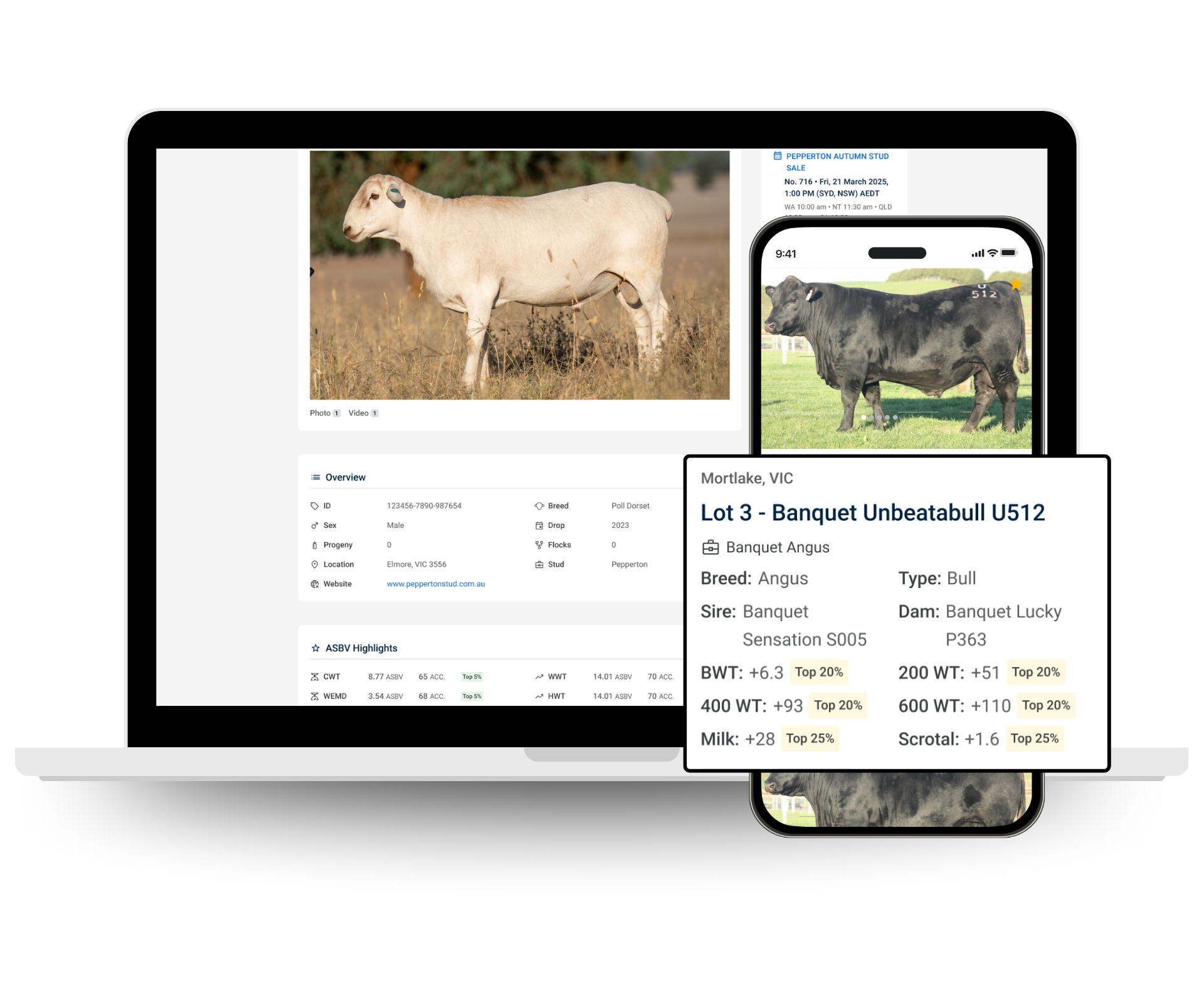 Genetics on AuctionsPlus