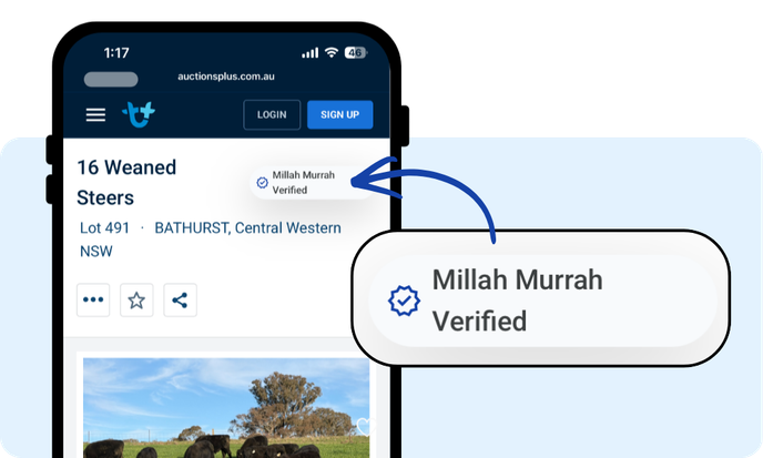 A+ Bloodlines verification badge on a commercial cattle listing