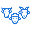 STAR ICON (3)