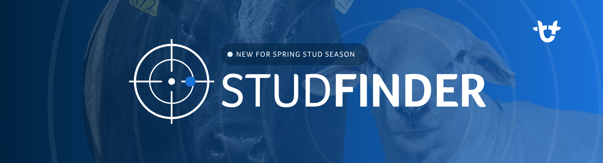 NEW FOR SPRING STUD SEASON - Stud Finder (1920 x 600 px) (3)